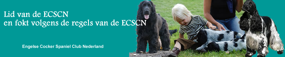 bannerfoktvolgensVFR